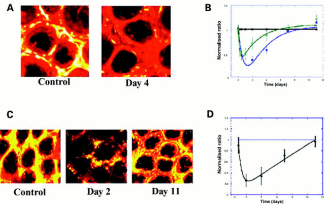 Figure 4  