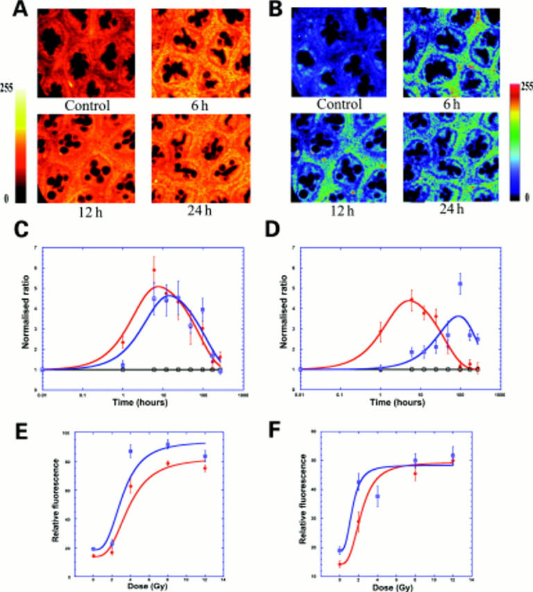 Figure 2  