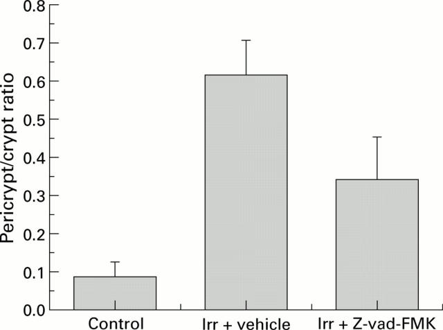 Figure 6  