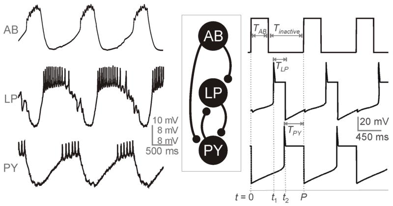 Fig. 1