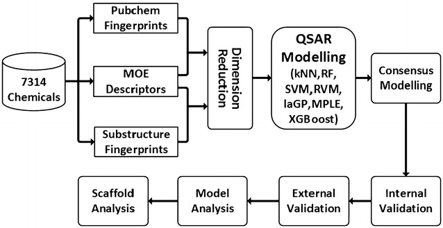 Graphical abstract