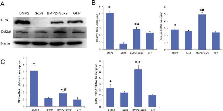 Fig. 3