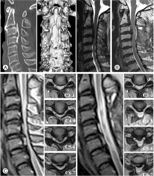 Fig. 3