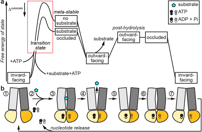 Fig. 3.