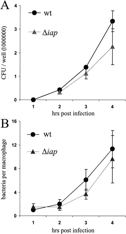 FIG. 5.