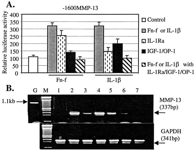 Fig. 9