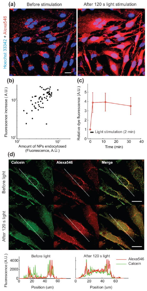 FIGURE 4