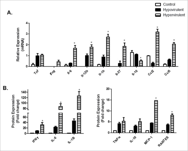 Figure 3.