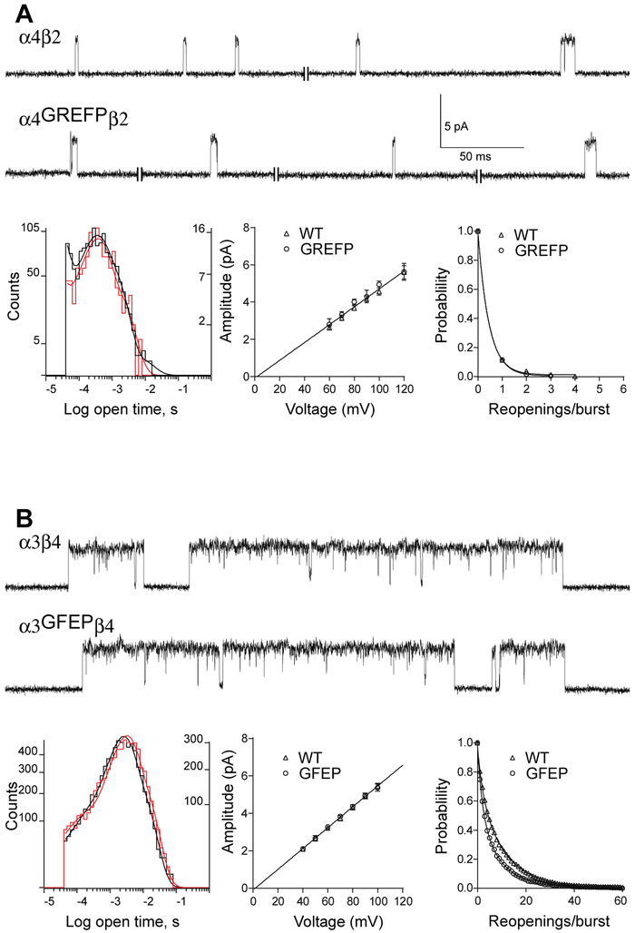 Fig. 9