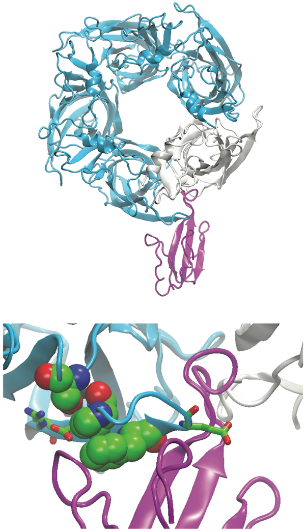 Fig. 10