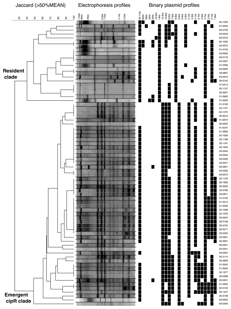 Extended Data Figure 1