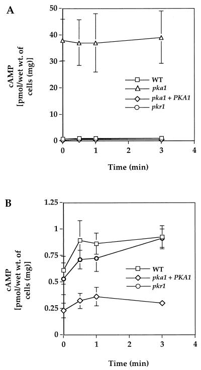 FIG. 7