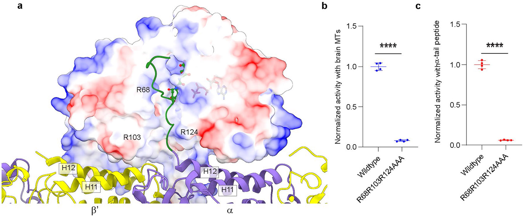 Extended Data Fig. 5 ∣