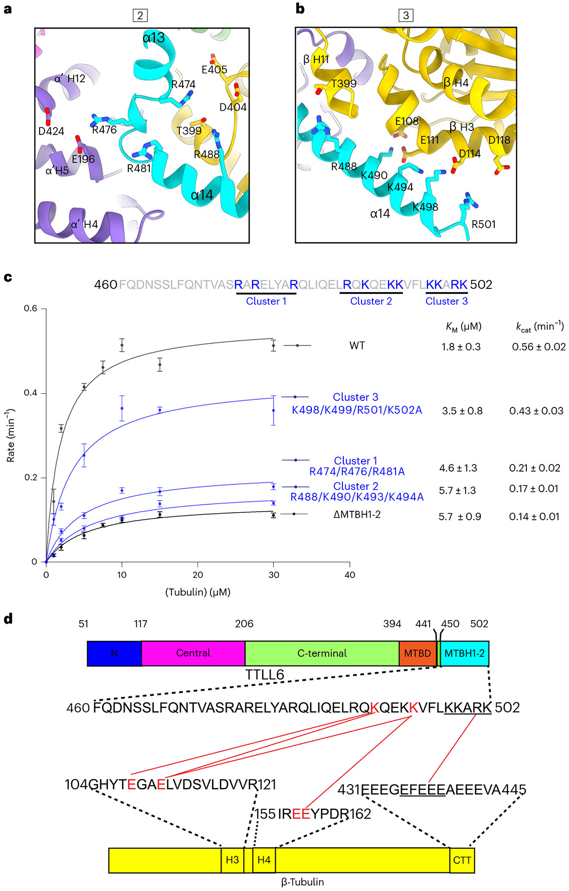 Fig. 3 ∣