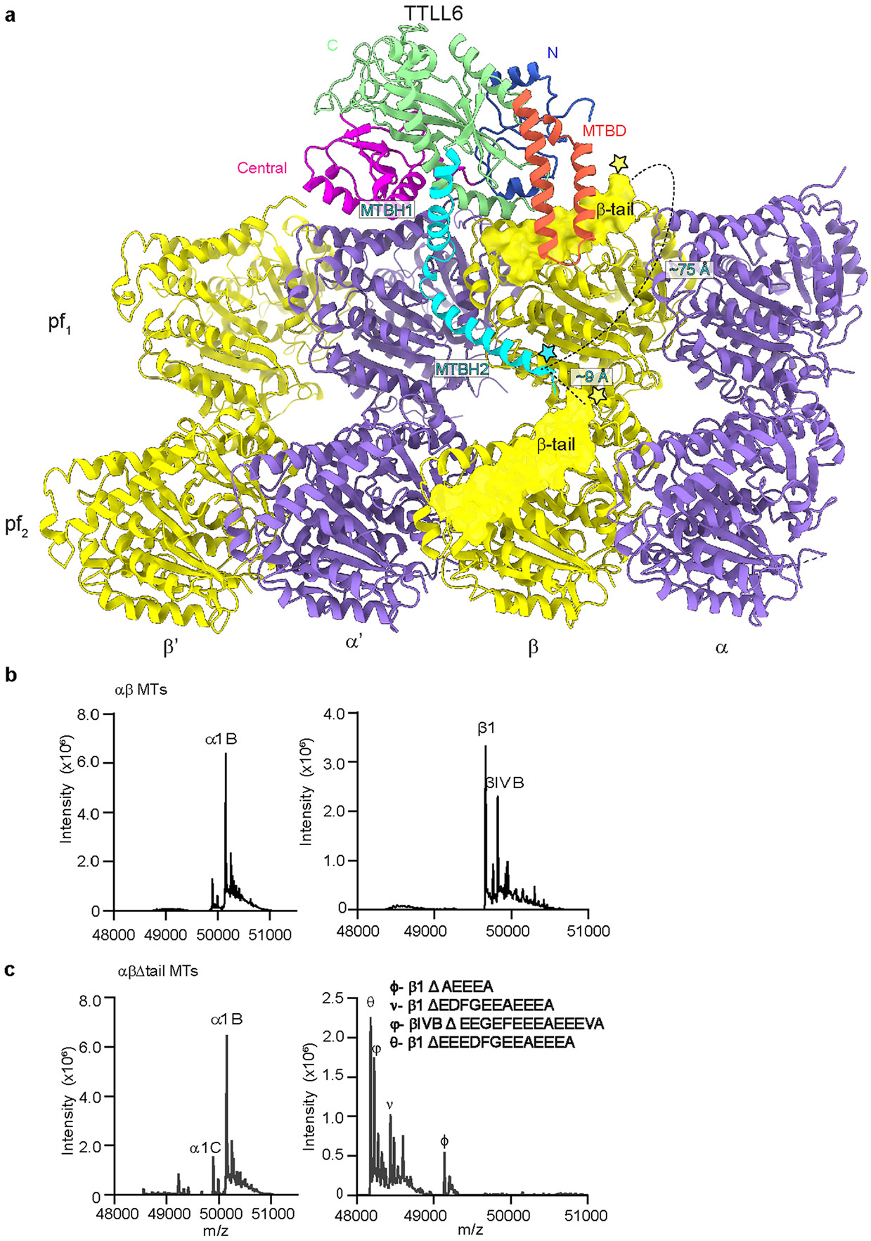 Extended Data Fig. 7 ∣