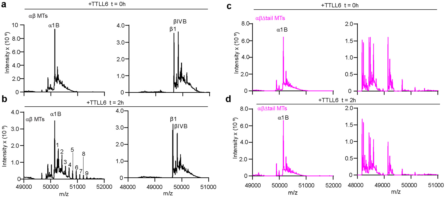 Extended Data Fig. 8 ∣