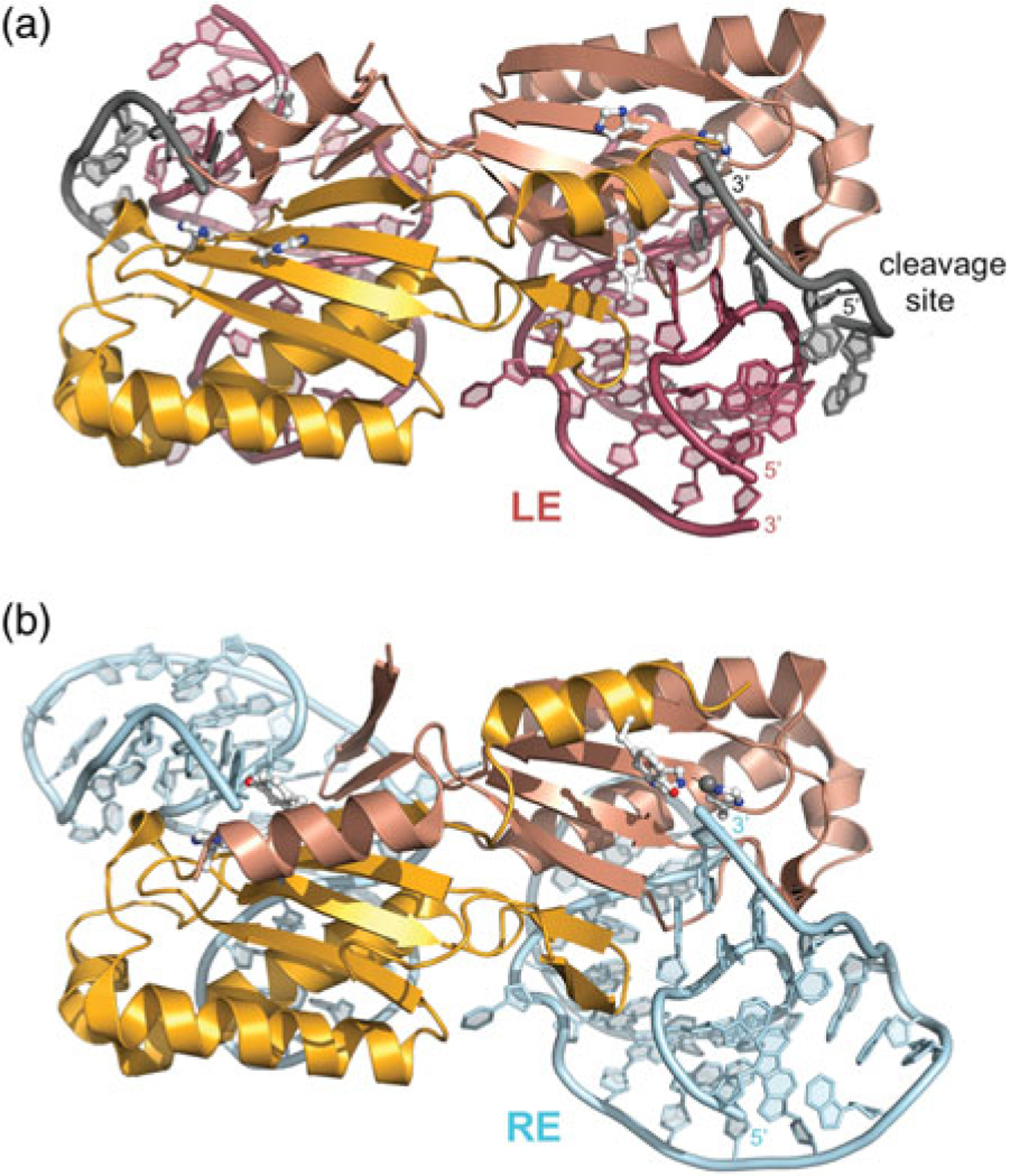 Fig. 9.