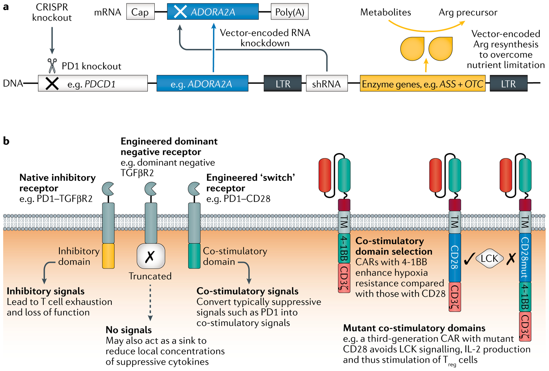 Fig. 4 |