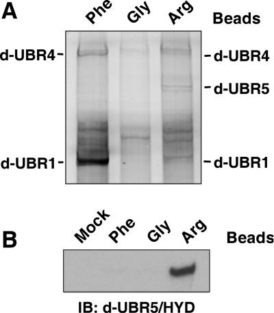 FIG. 4.