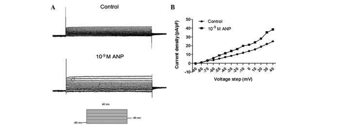 Figure 7.