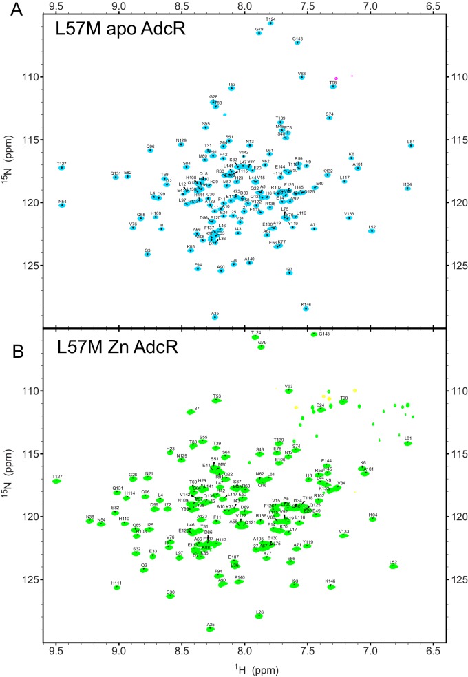 Figure 6—figure supplement 6.