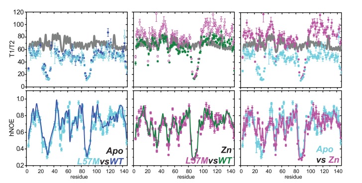 Figure 6—figure supplement 8.