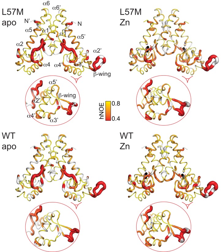 Figure 6—figure supplement 9.