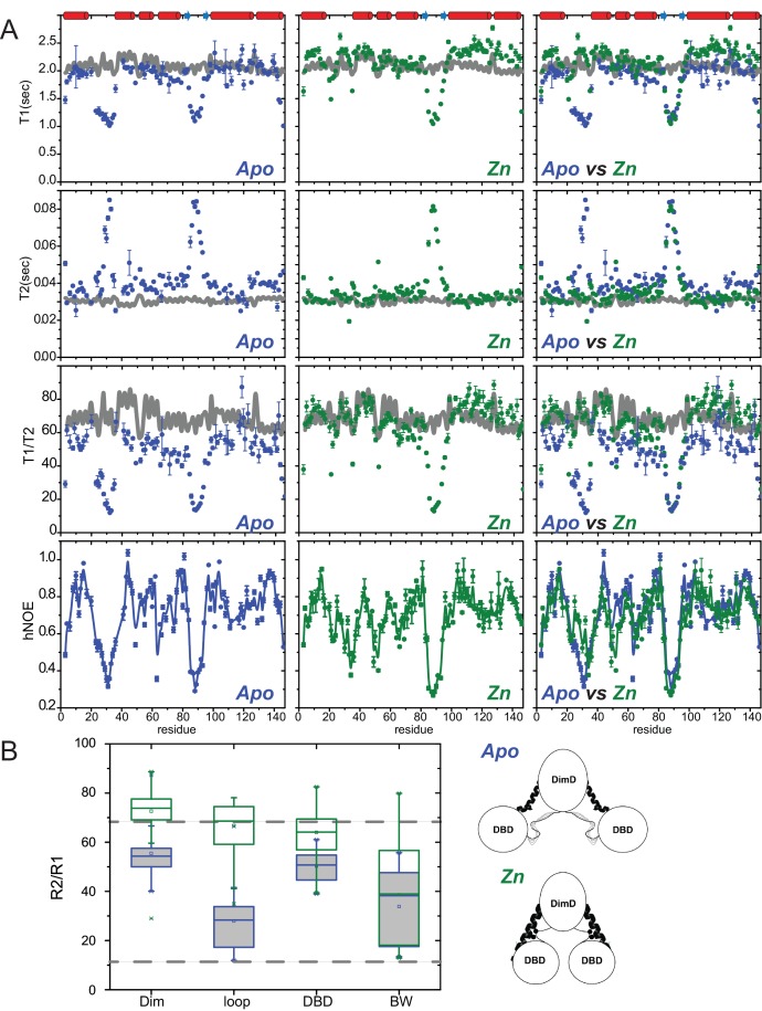 Figure 4—figure supplement 1.