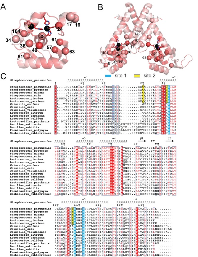 Figure 6—figure supplement 5.