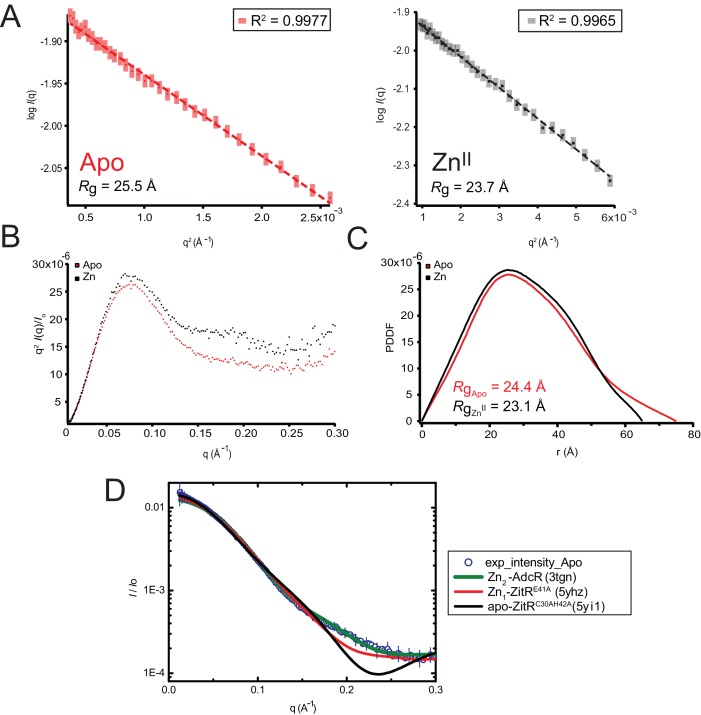 Figure 2—figure supplement 1.