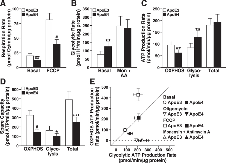 Fig.1