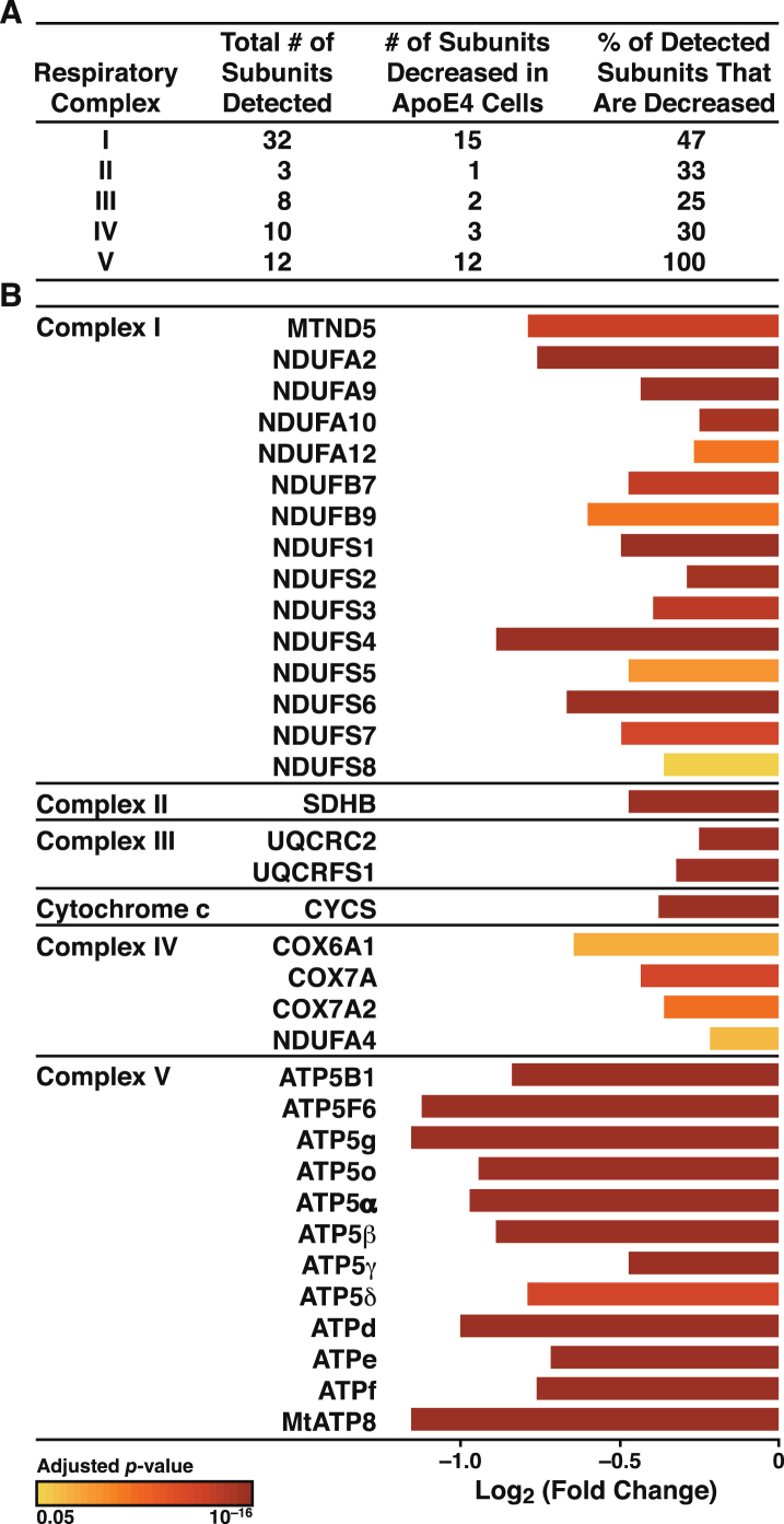 Fig.7