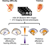 Graphical Abstract