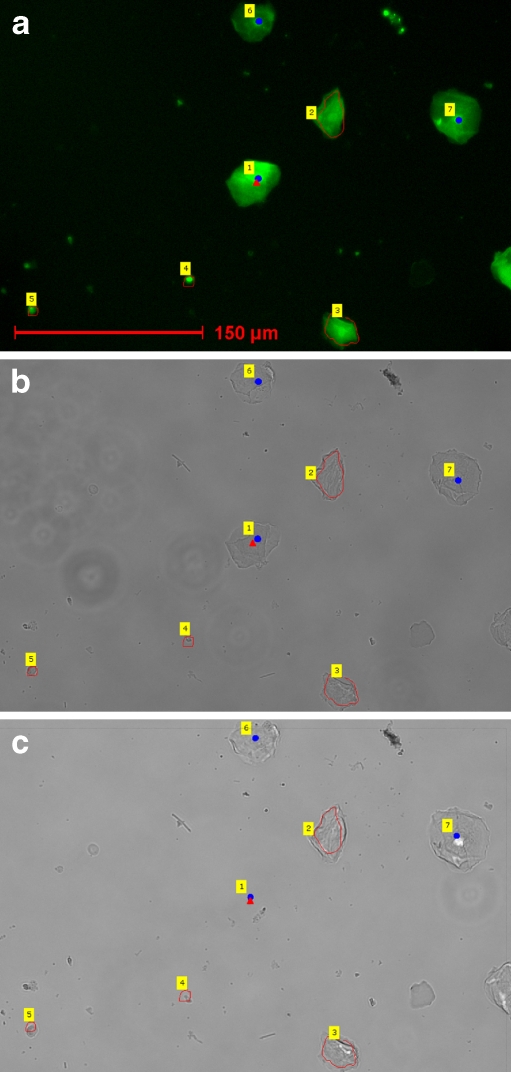 Fig. 2