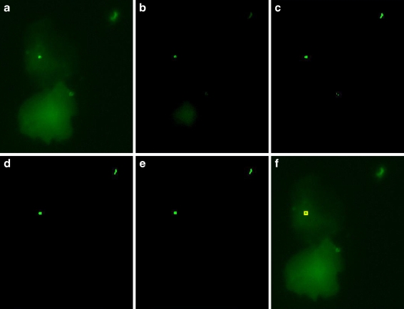 Fig. 1