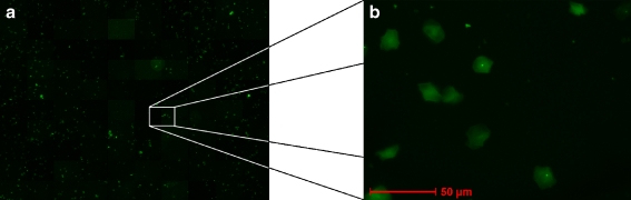 Fig. 3