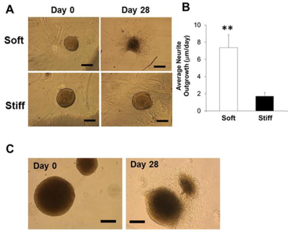 Fig.4