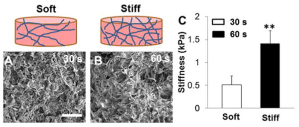 Fig.2