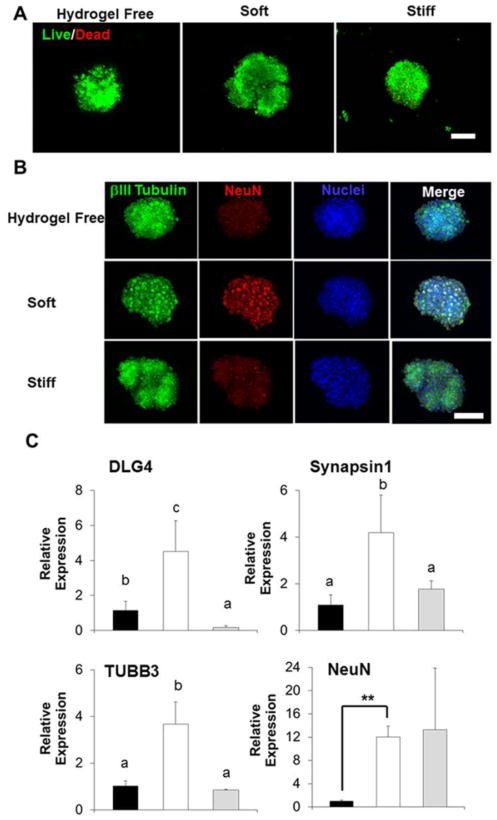 Fig.7