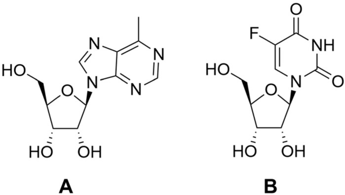 Figure 13