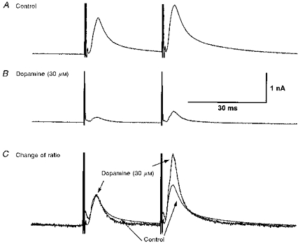 Figure 8