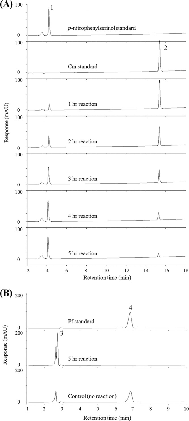 Fig 3