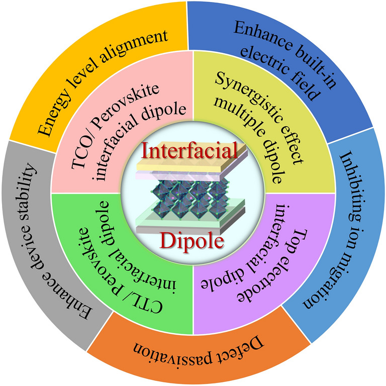 graphic file with name 40820_2023_1131_Figa_HTML.jpg