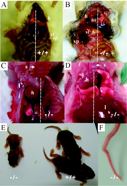 FIG. 2.