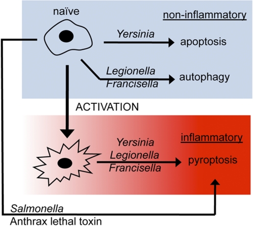 Figure 3.