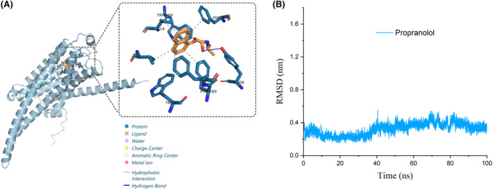 FIGURE 2