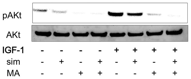 Figure 5.