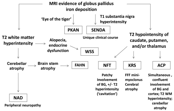 Fig 2.