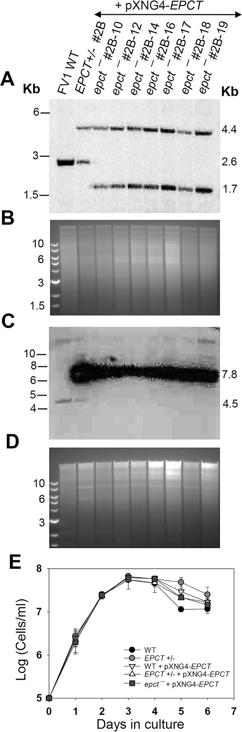 Fig 3