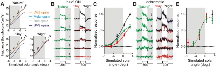 Fig 4